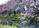 私たちも花見