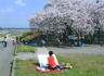 のどかな日