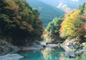 秋の多摩川
