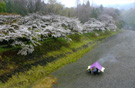 雨の日に